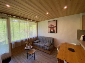 Charmant appart 4 pers. avec chambre indép., terrasse, Wi-Fi, parking, skis, proche Crest-Voland - FR-1-733-110